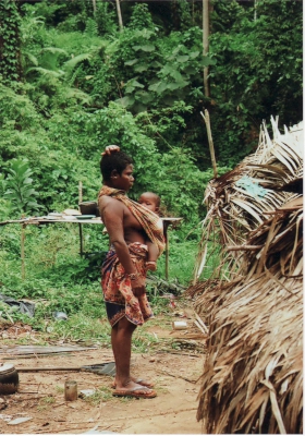my17_orangasli-400