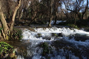 Skrandinski buk: Der Wasserfall hat den Wald überflutet