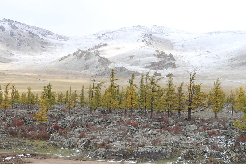 Herbst im Khorgo Terkhiin Tsagaan Nuur Nationalpark 