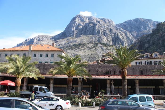 Kotor