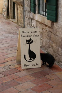 Kotor, auch die Stadt der (streunenden) Katzen