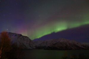 Ausblick auf den Fjord - die ersten Nordlichter
