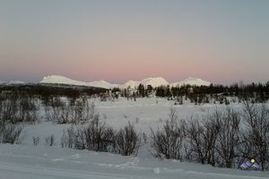 Rosa Himmel über weißem Schnee