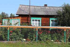 Vorgarten mit Blumenbeet