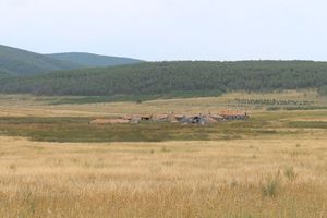 Verlassener Bauernhof im Nationalpark