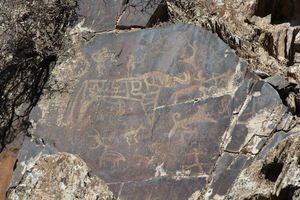 Die Petroglyphen zeigen meist Tiere und Jagdszenen