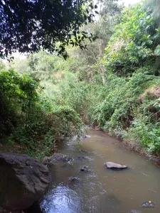 Am Oloolua Nature Trail