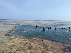African Pool