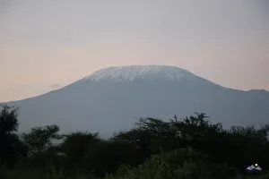 Kilimanjaro in der Morgendämmerung