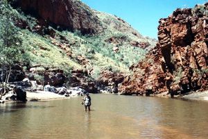 Flussdurchquerung in der Ormiston Gorge