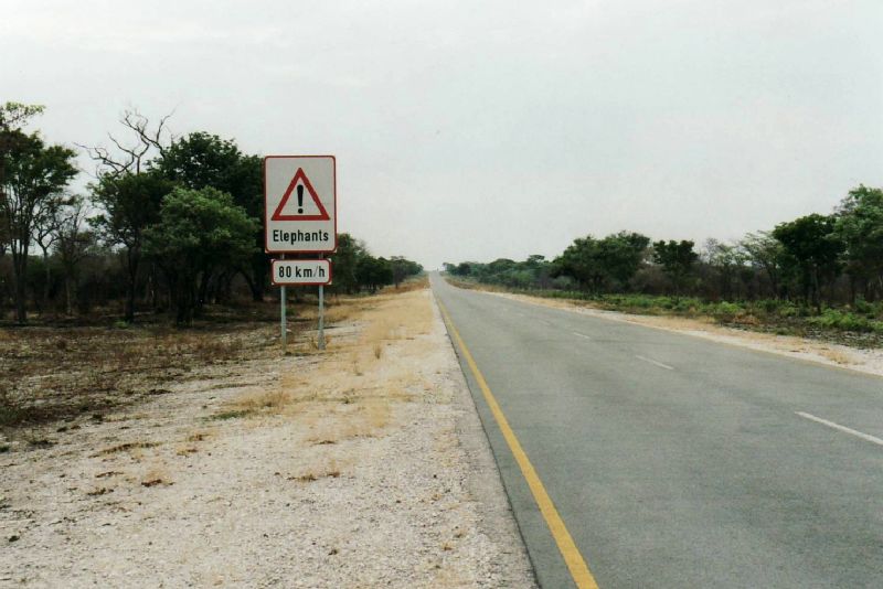 Die Straße durch den Caprivi-Streifen