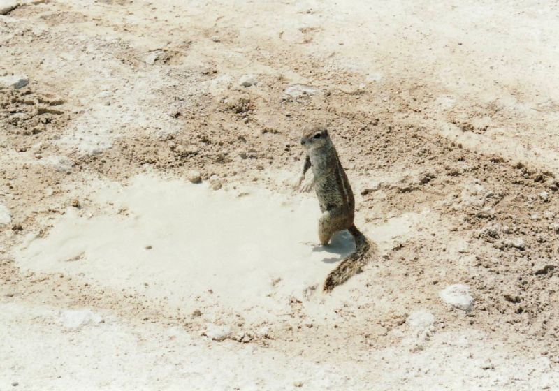 Auch die Kleinsten finden Beachtung