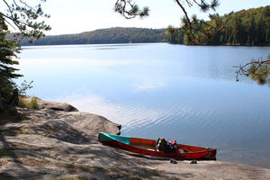 Mittagspause am Lake Louisa