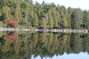 Lake Louisa