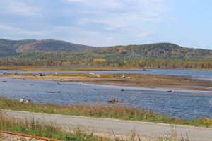 Malbaie Salzmarsch