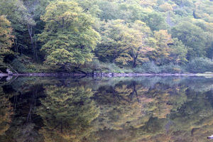 Jacques Cartier River