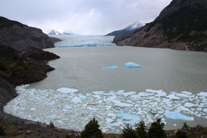 Grey Gletscher