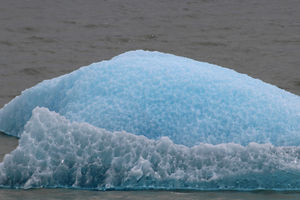 Grey Gletscher