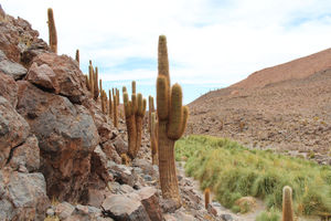 Cañón de Guatin