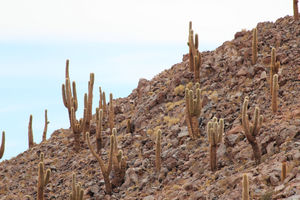 Cañón de Guatin