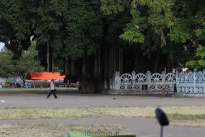 Alun Alun Kidul