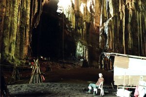 Gomantong Cave