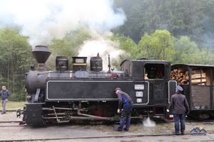 Mocăniţa Waldbahn