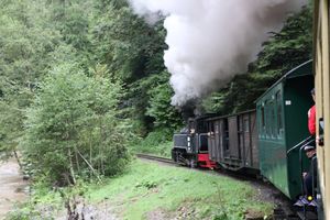 Mocăniţa Waldbahn