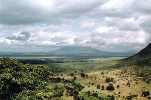 Usambara Berge