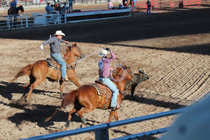 Timed Event Slack - Team Roping