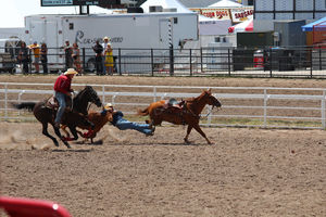 Steer Wrestling