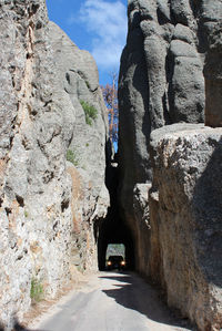 Needles Highway