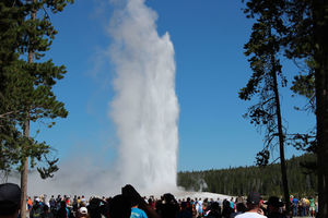 Old Faithful