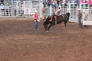 Saddle Bronc Riding