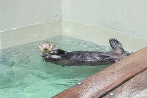 Seattle Aquarium