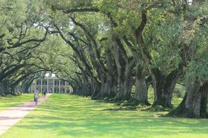 Oak Alley Plantation