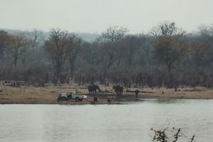 Unser Freund der Fischer umringt von Elefanten