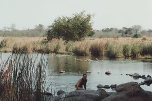 Kapiamema Hot Springs