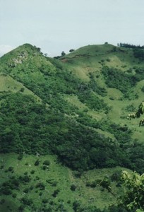 Blick auf die grünen Hügel von Monteverde